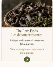 Rare mushrooms
